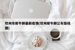 钦州市犀牛脚最新疫情(钦州犀牛脚公车路线图)