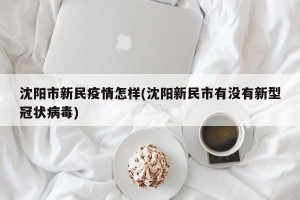 沈阳市新民疫情怎样(沈阳新民市有没有新型冠状病毒)